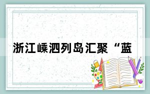 浙江嵊泗列岛汇聚“蓝海工匠” 锻造海岛人才强队