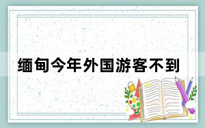 缅甸今年外国游客不到之前零头  背后真相实在令人感到惊愕