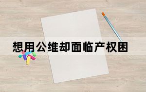 想用公维却面临产权困境？“公维金”修漏雨，堵点如何打通
