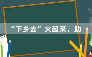 “下乡去”火起来，助经济“上春山”