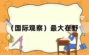 （国际观察）最大在野党获胜利 韩国会议员选举将如何影响政局？