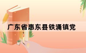 广东省惠东县铁涌镇党委书记赖土坤接受审查调查