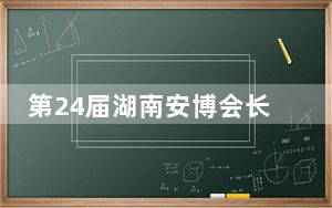 第24届湖南安博会长沙开幕 数智赋能“智慧安防”