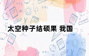太空种子结硕果 我国航天育种创造直接经济效益逾千亿元