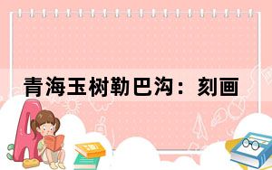 青海玉树勒巴沟：刻画在石头上的千年藏族文化