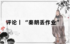 评论丨“秦朗丢作业”荒诞剧终结，新黄色新闻的炮制者必须退场