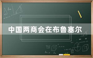 中国两商会在布鲁塞尔磋商欧盟对华电动汽车反补贴调查等议题