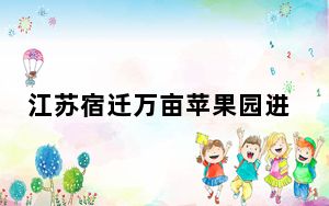 江苏宿迁万亩苹果园进入盛花期  千万只蜜蜂授粉忙