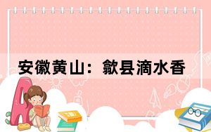 安徽黄山：歙县滴水香茶旅文化节开幕
