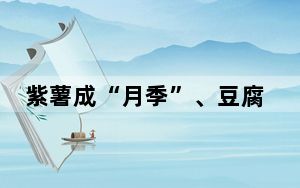 紫薯成“月季”、豆腐雕“芍药”：粤菜师傅一刀一划呈现“百花宴”