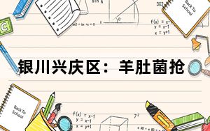 银川兴庆区：羊肚菌抢“鲜”上市  奏响春日丰收序曲