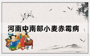 河南中南部小麦赤霉病发生流行气象风险高