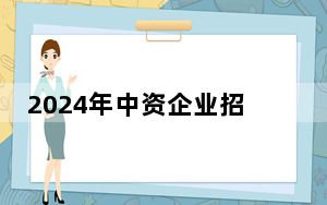 2024年中资企业招聘大会在南非举行