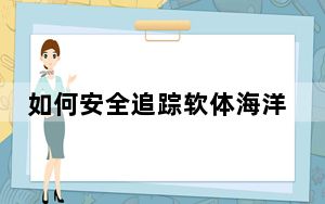 如何安全追踪软体海洋物种？研究称可用一种水凝胶胶水粘传感器