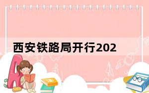 西安铁路局开行2024年首趟“丝路号”跨省研学专列