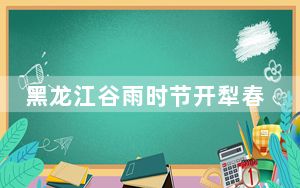 黑龙江谷雨时节开犁春播 旱田已播77.5万亩