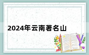 2024年云南著名山头春茶采购价发布 最高7.6万元/公斤