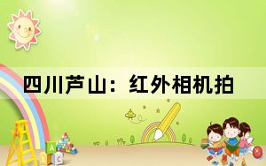 四川芦山：红外相机拍到大熊猫等多种野生动物影像
