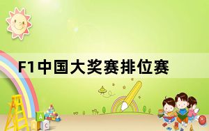 F1中国大奖赛排位赛：红牛车队包揽头排  周冠宇止步Q1