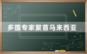 多国专家聚首马来西亚探讨中文教育与语言传承
