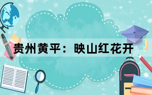贵州黄平：映山红花开美如画