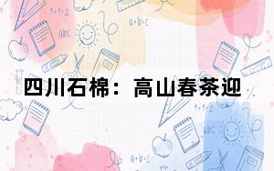 四川石棉：高山春茶迎来采摘季