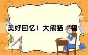 美好回忆！大熊猫“福宝”纪录片将于今秋在韩上映