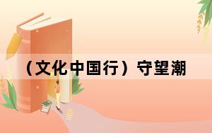 （文化中国行）守望潮起潮落与两岸变迁 “运河之眼”见证城河共生