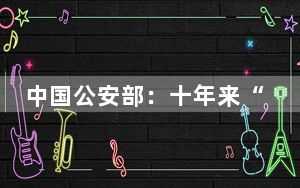 中国公安部：十年来“猎狐行动”追赃挽损近490亿元