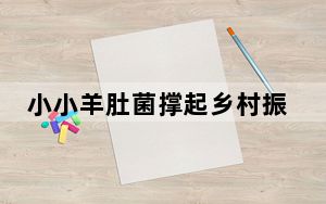 小小羊肚菌撑起乡村振兴富民伞