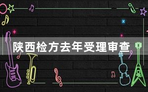 陕西检方去年受理审查逮捕侵犯知识产权犯罪案件162件323人