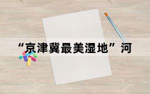 “京津冀最美湿地”河北衡水湖：万余只夏候鸟迎来孵化哺育期