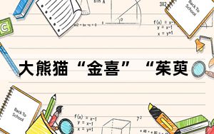 大熊猫“金喜”“茱萸”将前往西班牙开启10年旅居生活