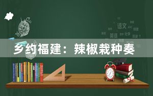 乡约福建：辣椒栽种奏响春耕“椒”响曲