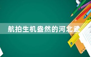 航拍生机盎然的河北武安高标准农田