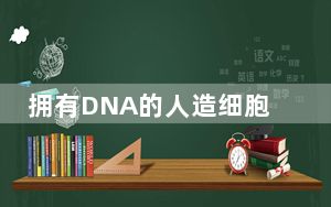 拥有DNA的人造细胞支架合成