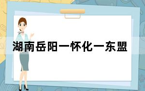 湖南岳阳一怀化一东盟国际铁水联运首发开行