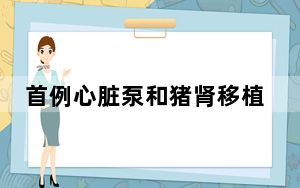 首例心脏泵和猪肾移植联合手术完成