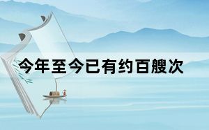 今年至今已有约百艘次邮轮经上海口岸出入境