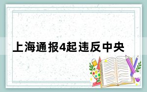 上海通报4起违反中央八项规定精神典型问题