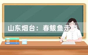 山东烟台：春鲅鱼走俏市场 民众“抢鲜”