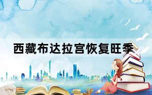 西藏布达拉宫恢复旺季票价