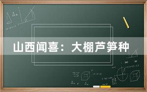 山西闻喜：大棚芦笋种出好“钱”景