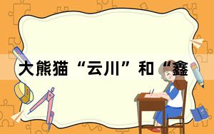 大熊猫“云川”和“鑫宝”将赴美圣迭戈动物园 中方介绍情况