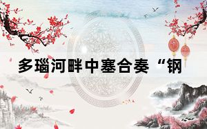 多瑙河畔中塞合奏“钢情曲”