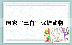 国家“三有”保护动物须浮鸥现身安徽祁门