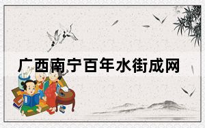 广西南宁百年水街成网红“打卡”地  游客觅“古早味”