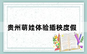 贵州萌娃体验插秧度假期