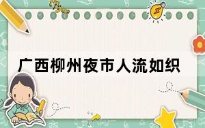 广西柳州夜市人流如织 美食令人垂涎