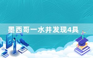 墨西哥一水井发现4具遗体 其中3具疑似失踪外国游客